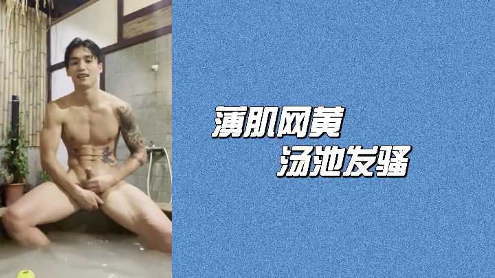 哪种B型最好看图片